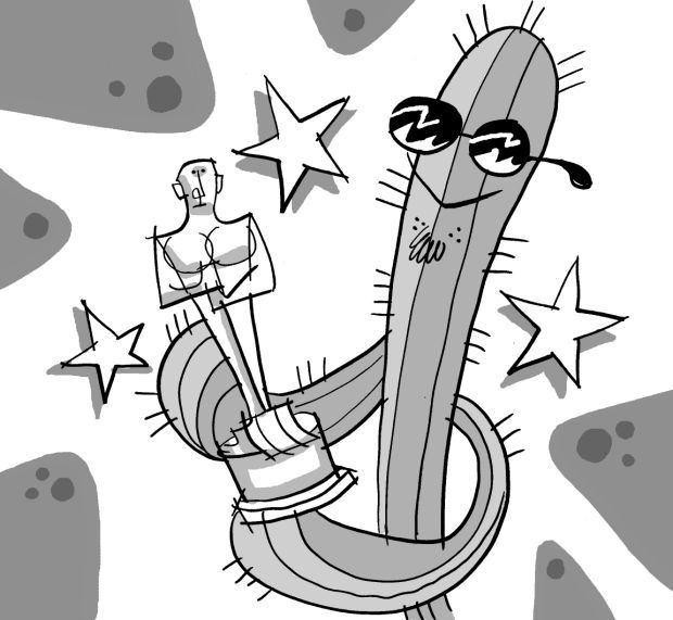Fitz blog Art:Oscars
